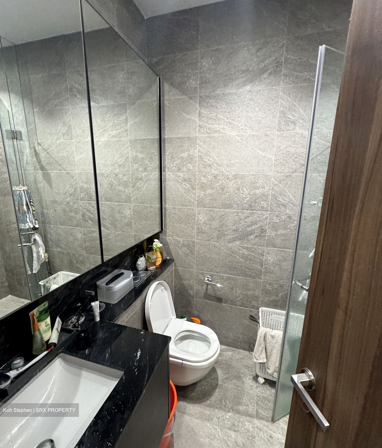 Daintree Residence (D21), Condominium #472017661